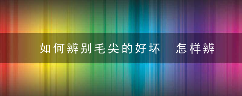 如何辨别毛尖的好坏 怎样辨别毛尖品质的好坏呢